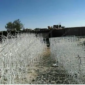 شاخ گوزنی نا منظم شاخ گوزنی نا منظم