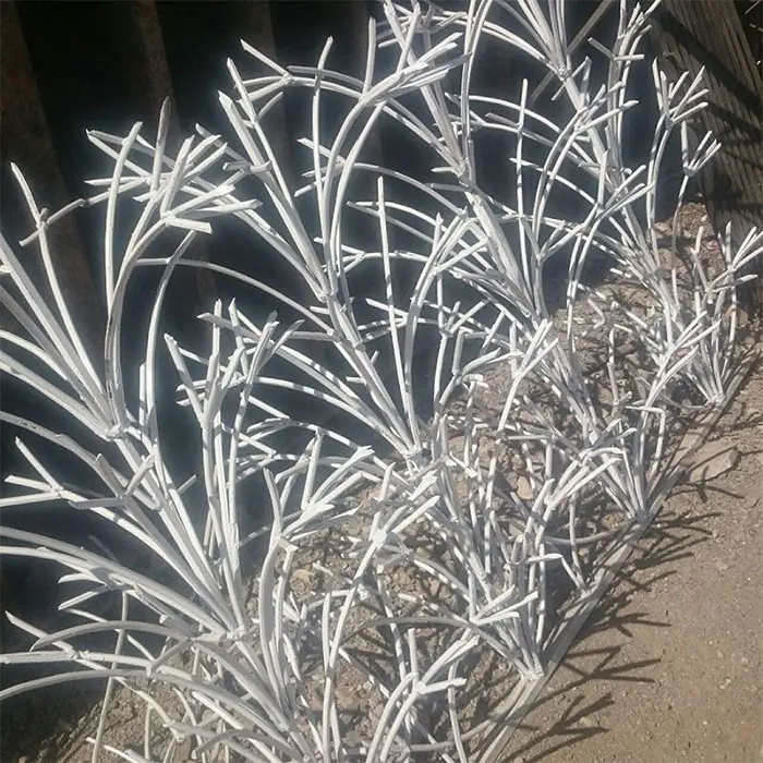حفاظ رو دیوار