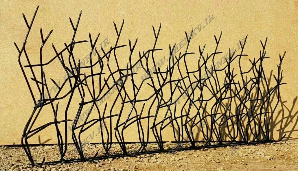 حفاظ شاخ گوزنی