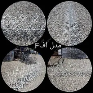 شاخ گوزنی WhatsApp Image 2020 04 11 at 00.50.06 300x300 - شاخ گوزنی