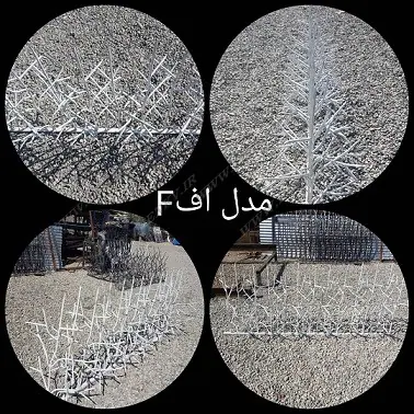 WhatsApp Image 2020 04 11 at 00.50.06 - شاخ گوزنی