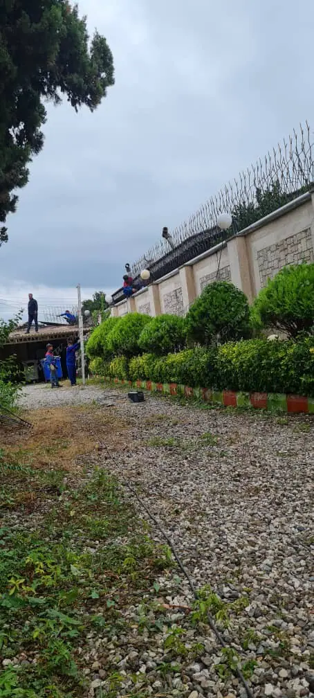 2 حفاظ شاخ گوزنی - ایمن کاران وحدت