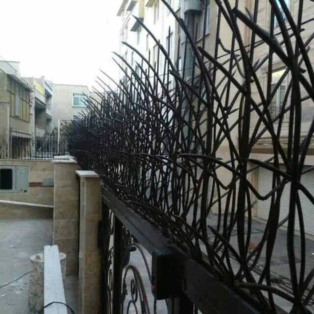 حفاظ نیزار حفاظ نیزار